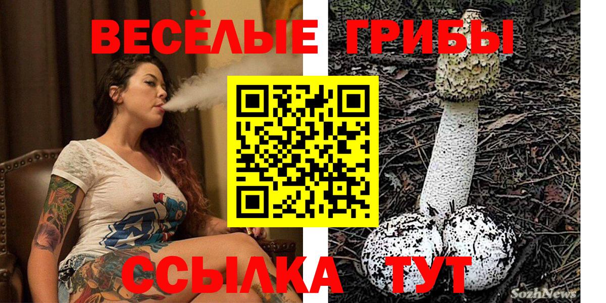 Псилоцибиновые грибы Magic Shrooms  Вход с VPN  Ульяновск  Галлюциногенные грибы Magic Shrooms 